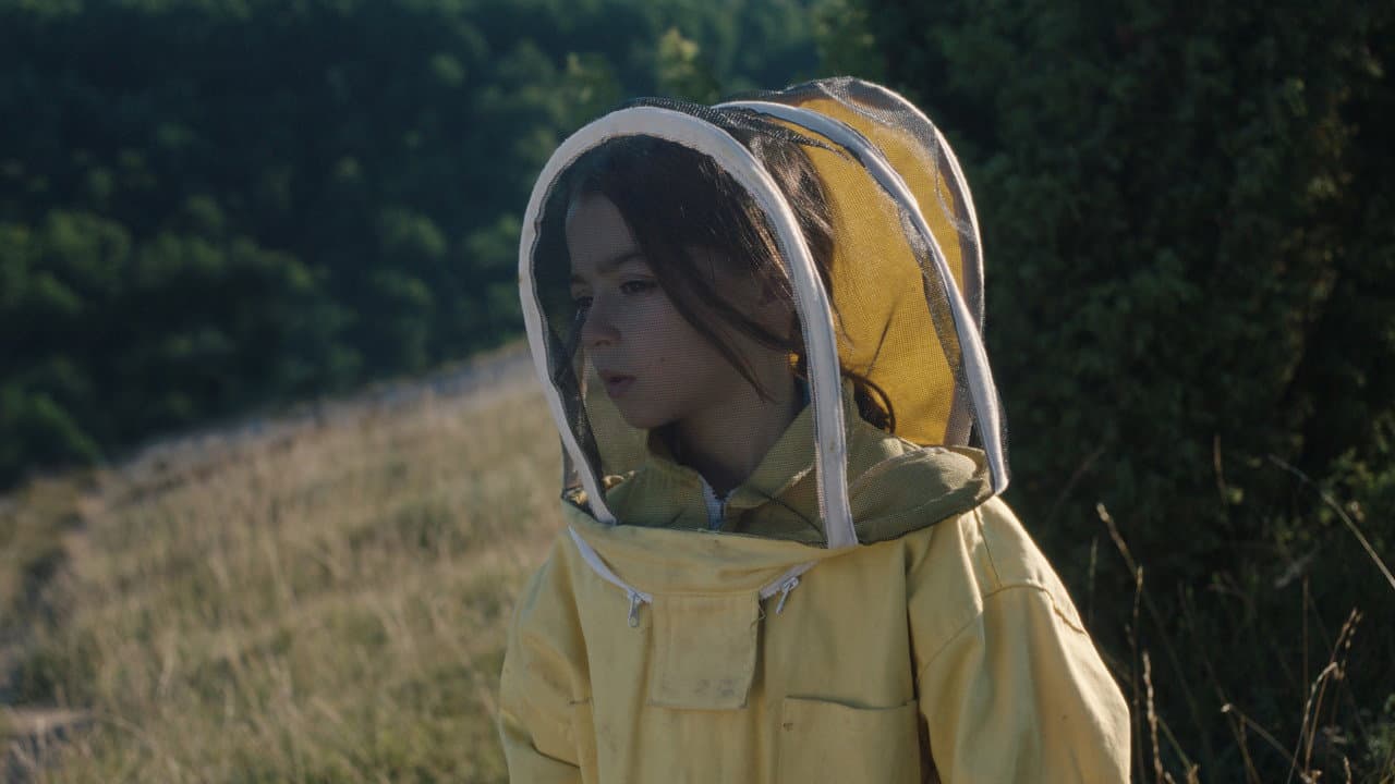 20,000 Species of Bees backdrop