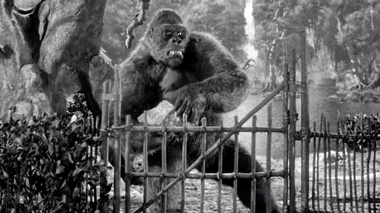 Mighty Joe Young backdrop