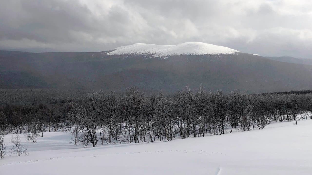 The Dyatlov Pass Incident backdrop
