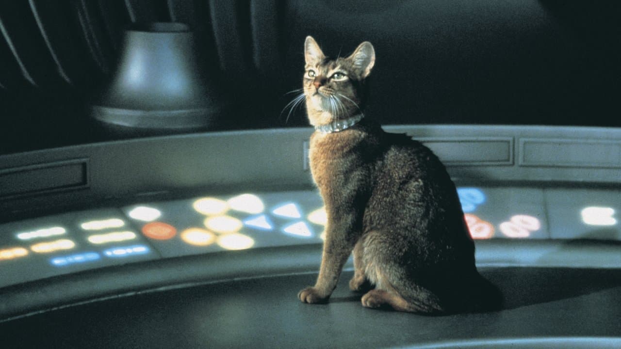 The Cat from Outer Space backdrop