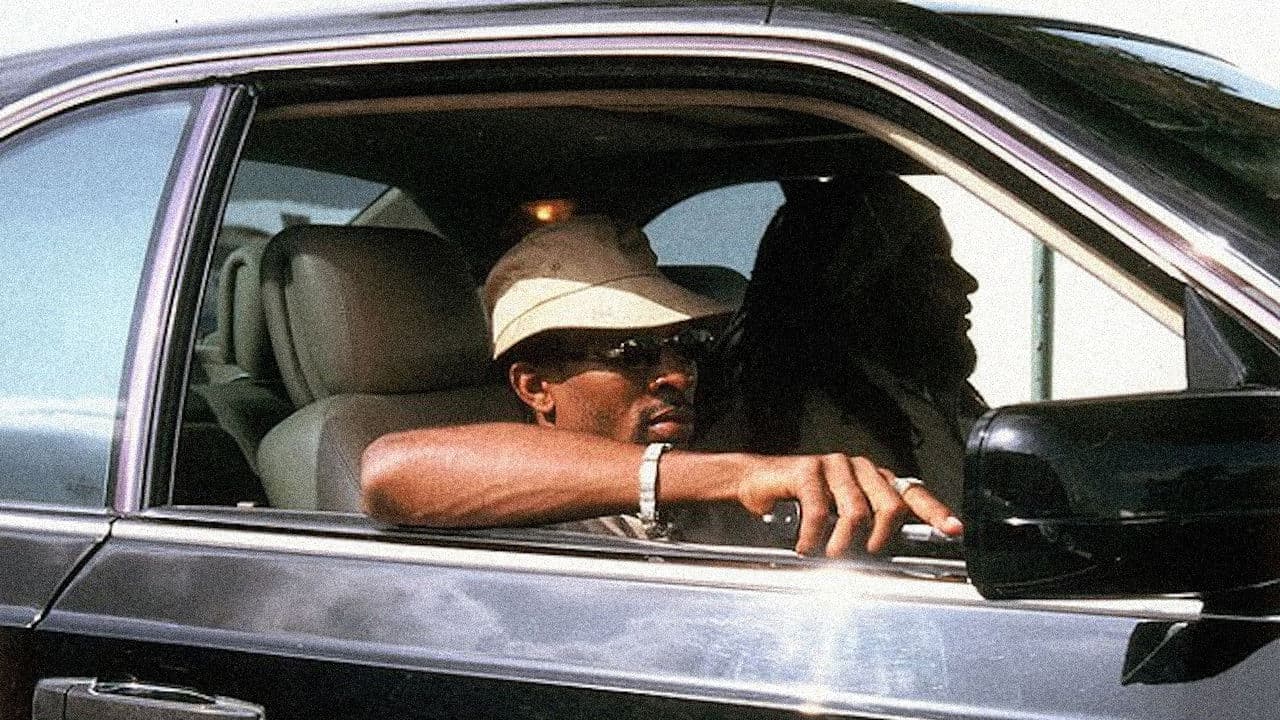 Shottas backdrop